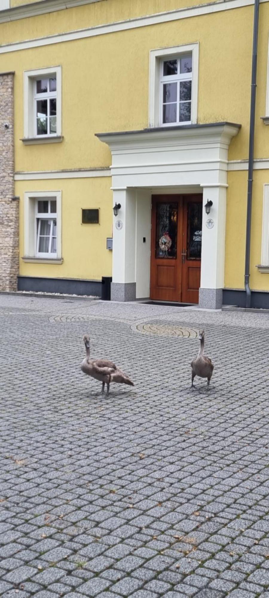 Palac Lucja Bb Zakrzow  Екстер'єр фото